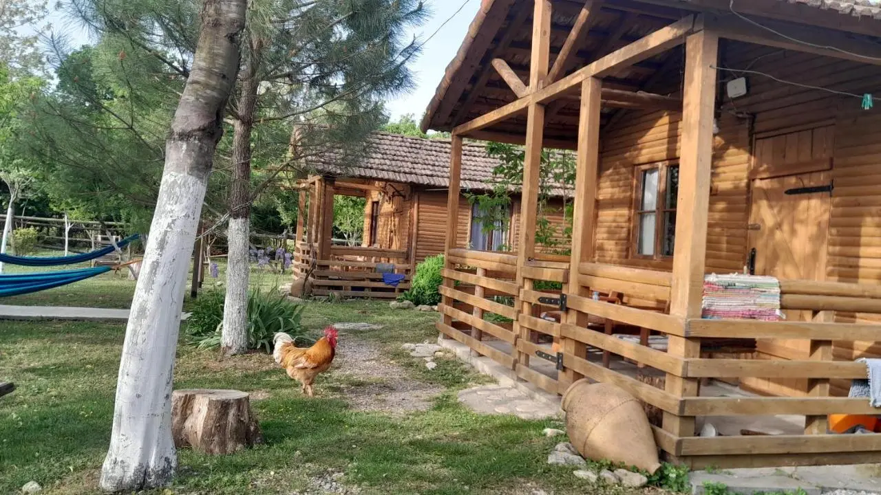 Tiny houses Genacvale