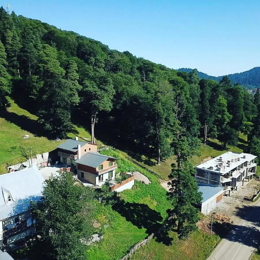 Villa Barleon Bakuriani
