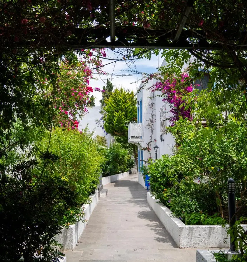 Manuela Boutique Hotel Bitez