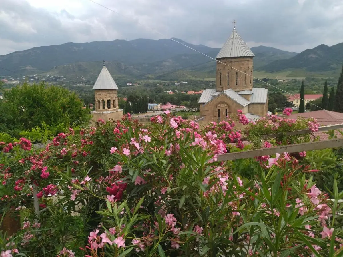 garden and panorama