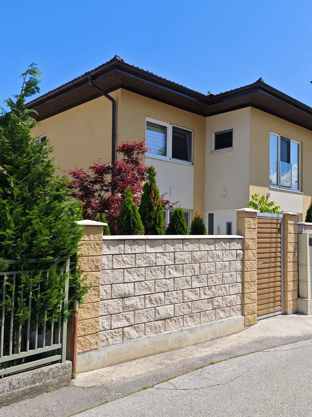 Luxury Villa Plandište 1
