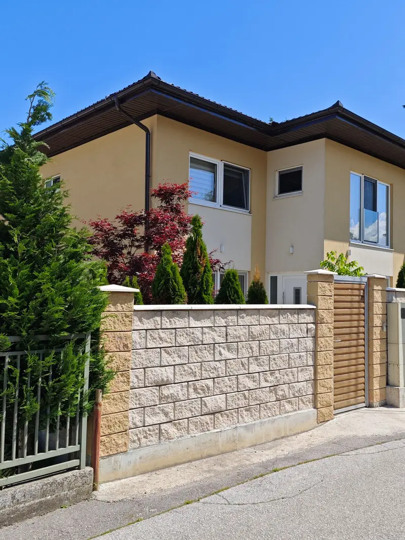 Luxury Villa Plandište 1