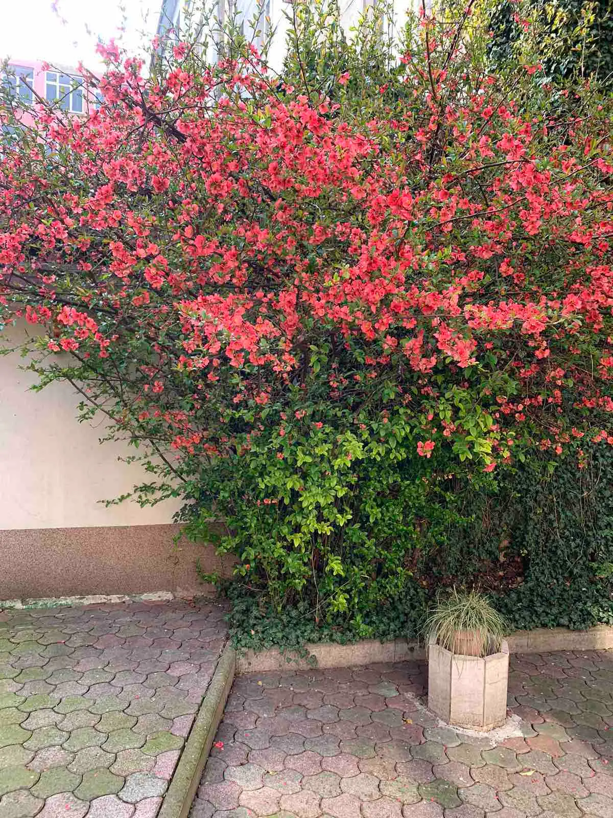 Central Apartment - Great Energy - Private Garden!