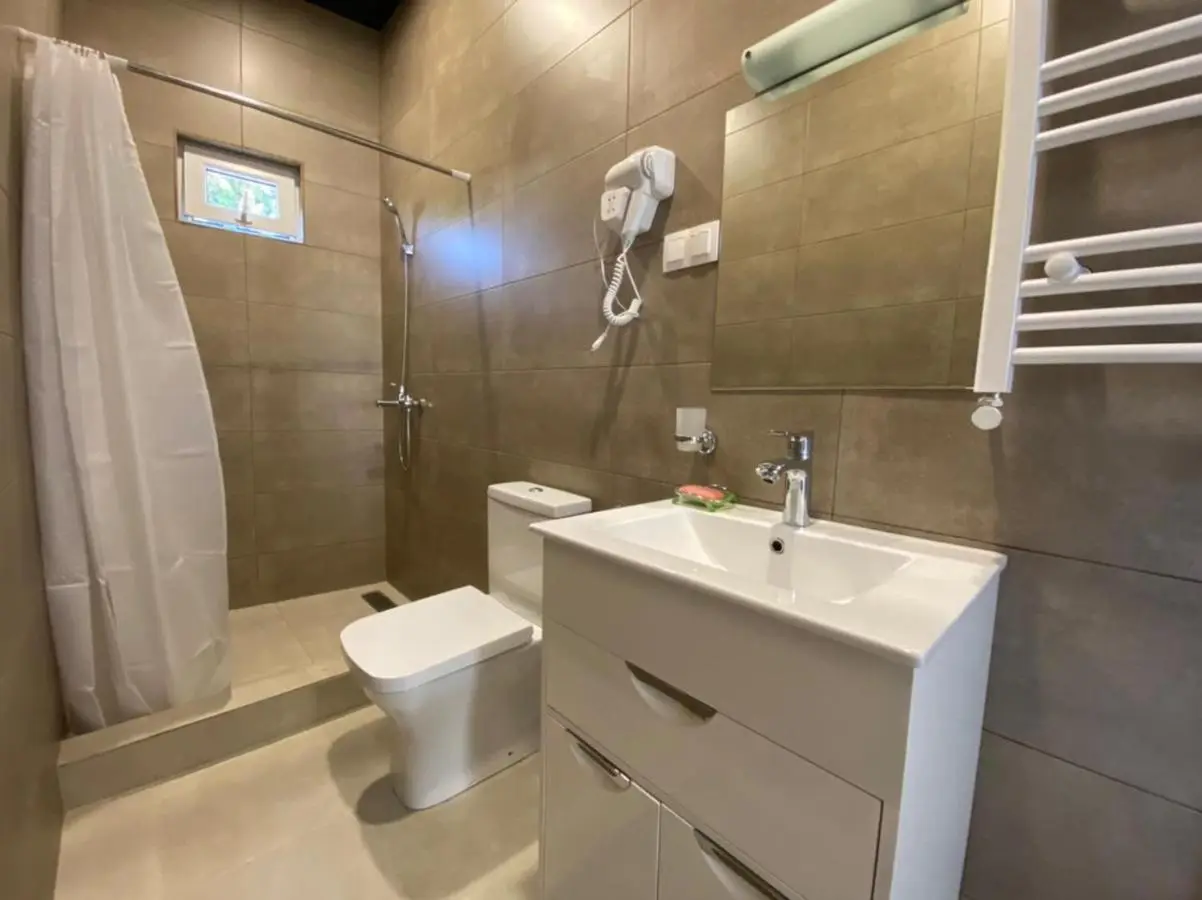 Nikas apartment with balcony in old Tbilisi