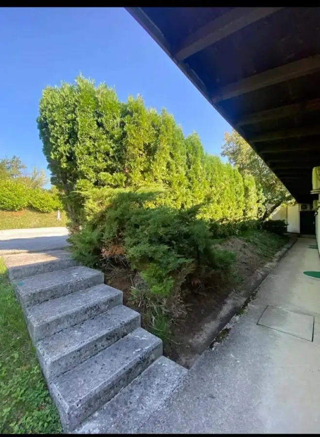 Camp Rooms