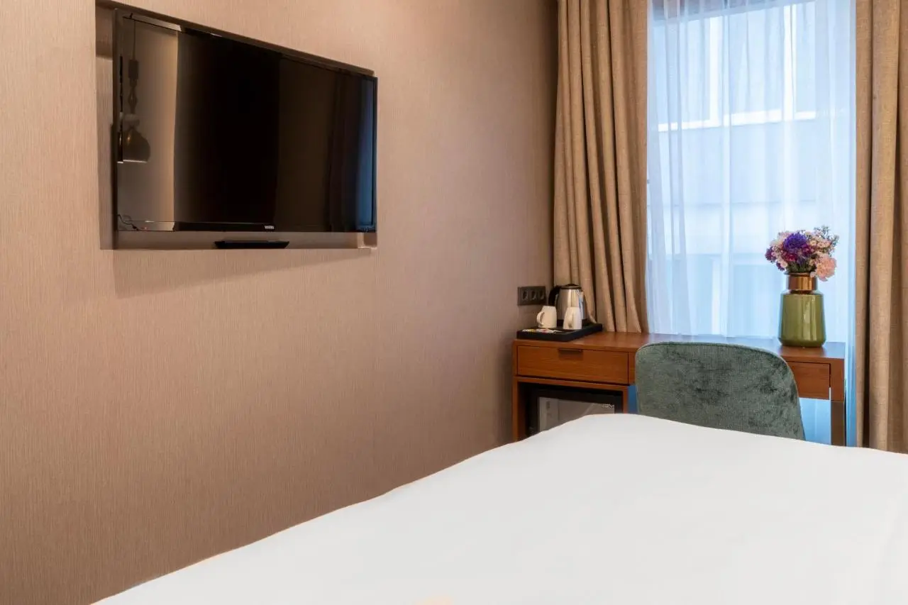 Smart and Simple Hotel Karakoy
