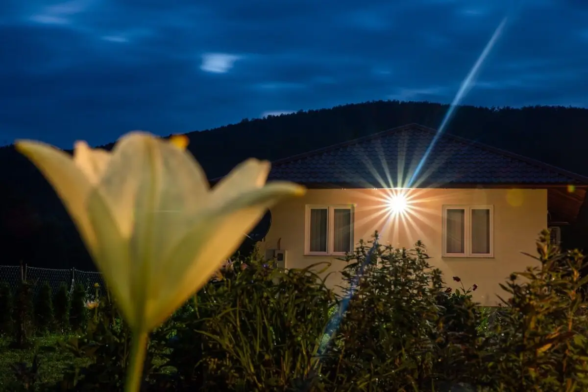 Lamija House