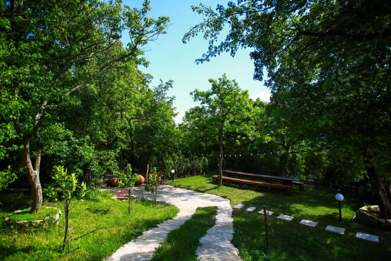Villa Vejini