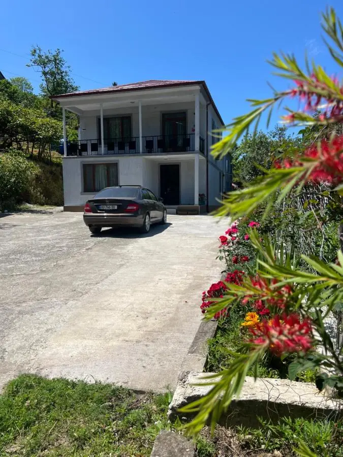your house in batumi