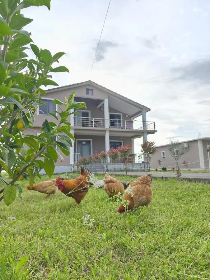 Hotel Ballkan Shkoder