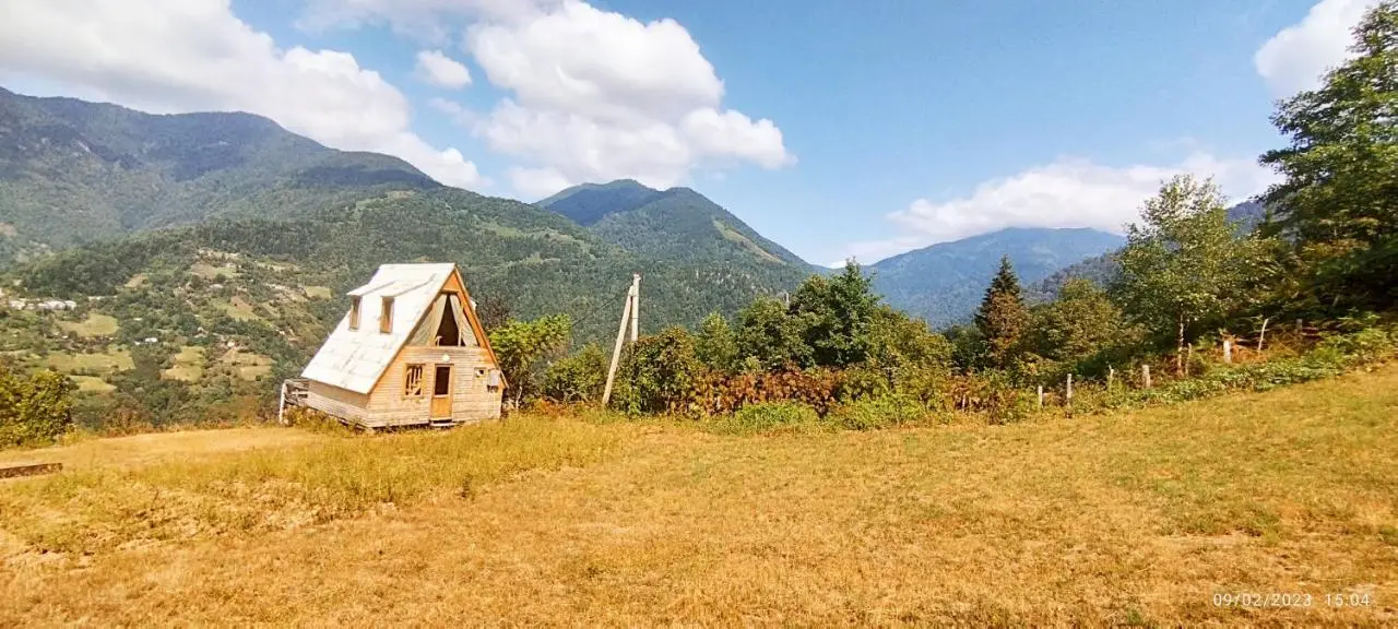 GREEN GUNDAURI