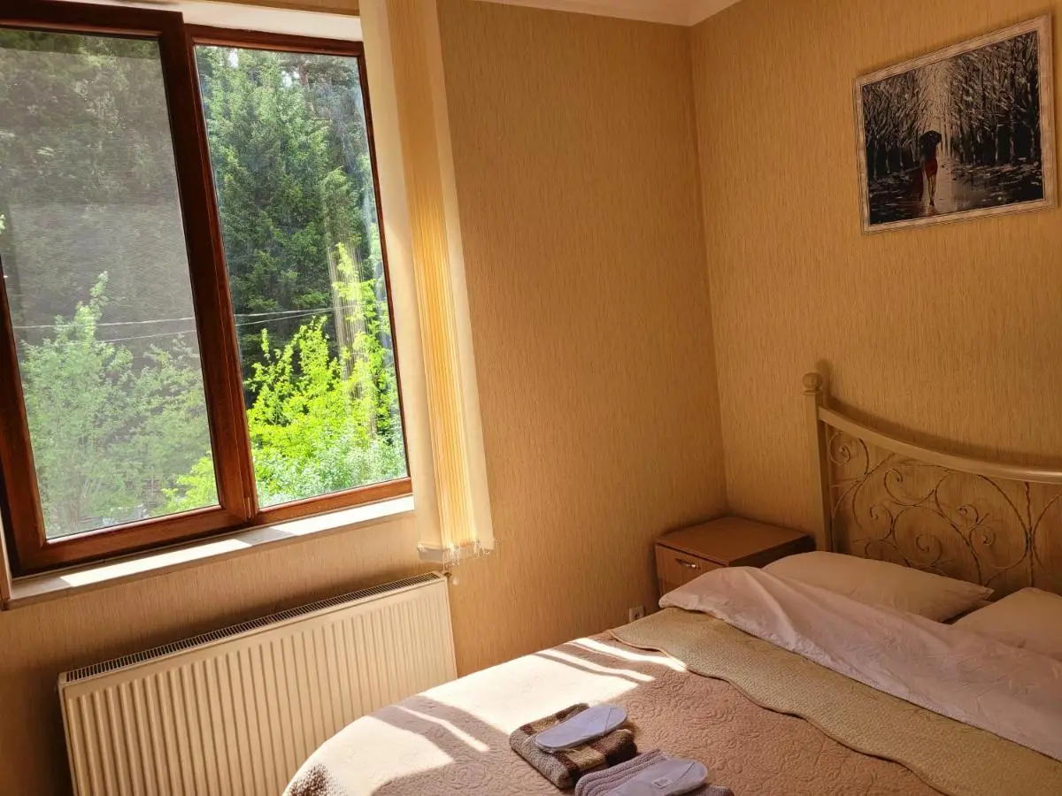 Hotel forest echo