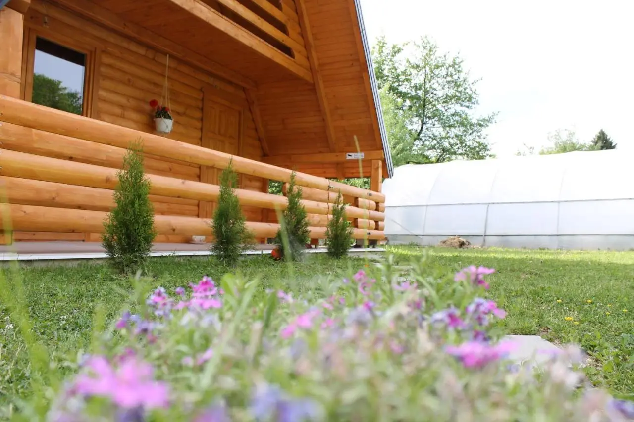Nadiaa Wood House