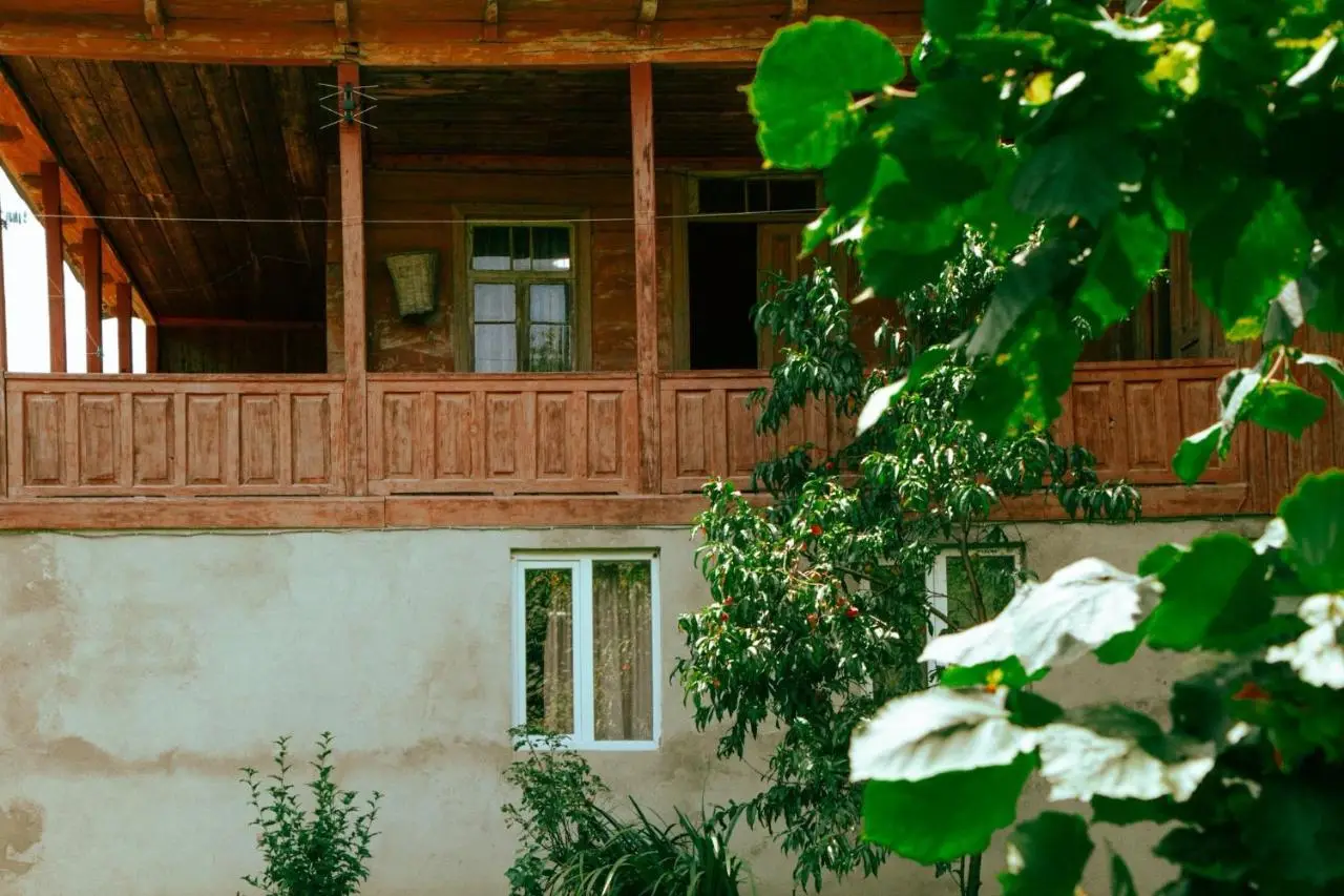 tsereteli's house