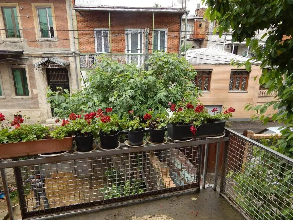 HOTEL VENETO