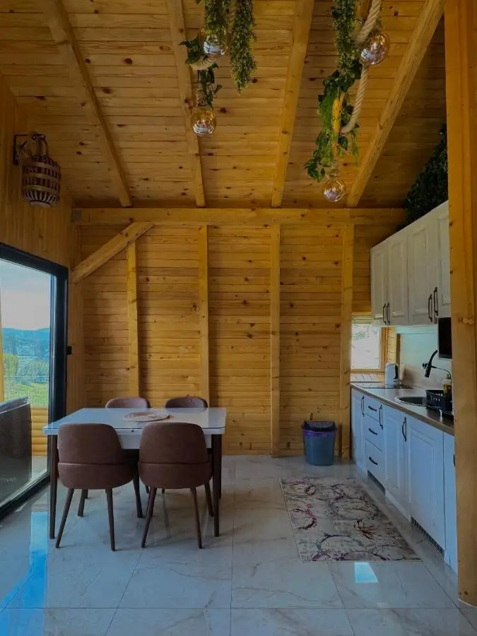Vlasic Odmor - Villa Biser & spa