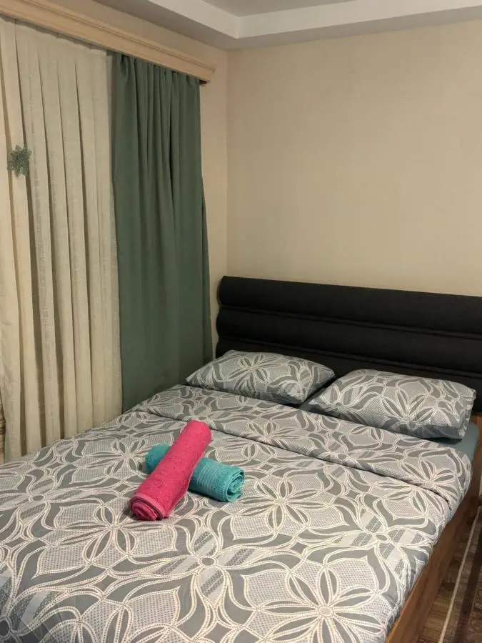 Nene Apartment Tbilisi