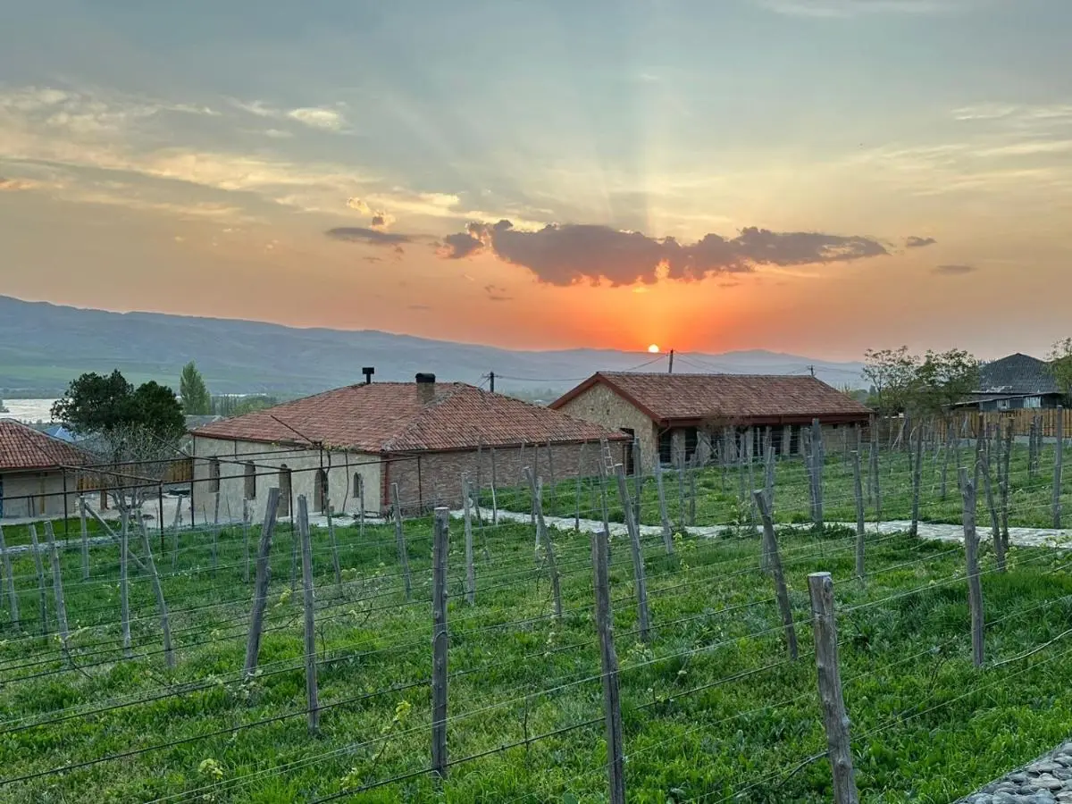 Peradze Wine Cellar Vineyard Cottages