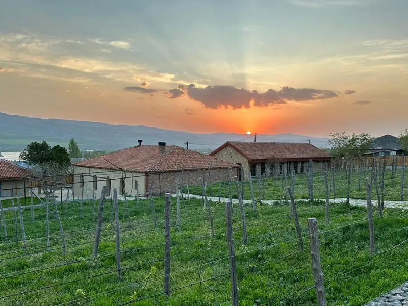 Peradze Wine Cellar Vineyard Cottages