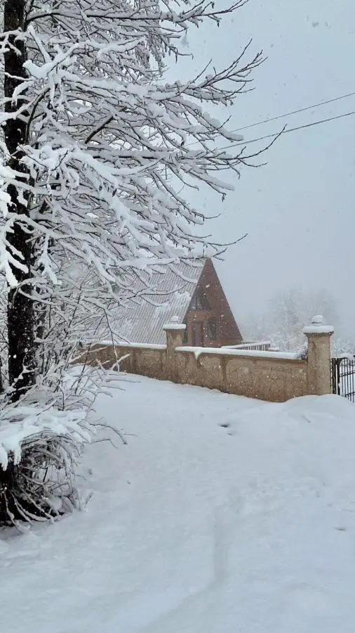 Kayabaşı bungolov