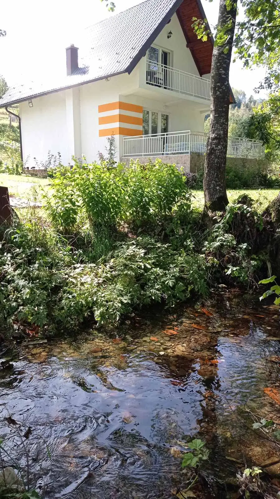Orange House