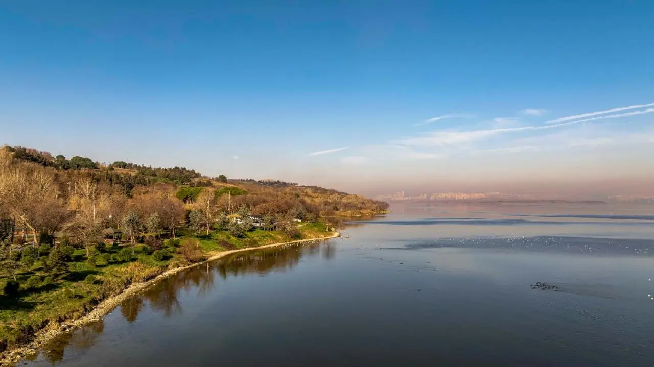 Ezkar Bathonea Art İstanbul