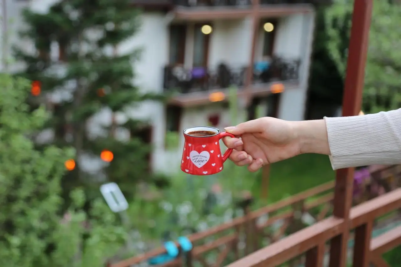 ABANT DORT MEVSİM KONAĞI HOSTEL