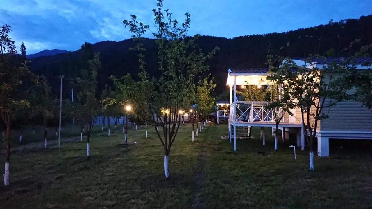 Our Garden