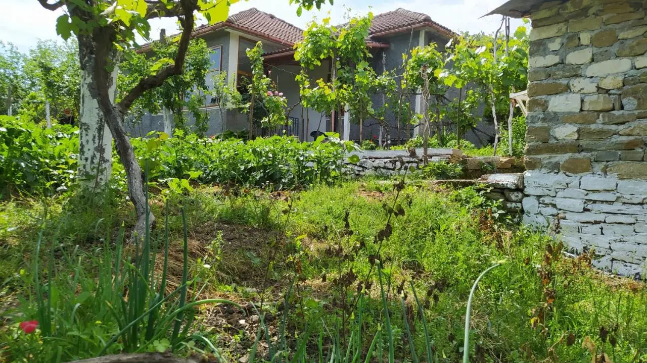 Spring Village Home
