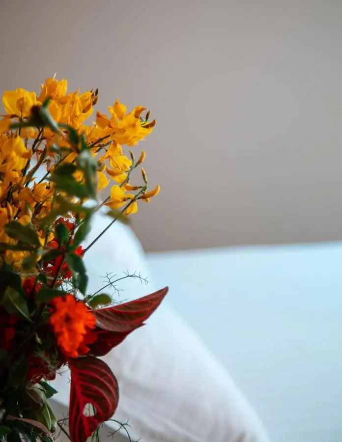 Vila e Bardhe Butique Hotel