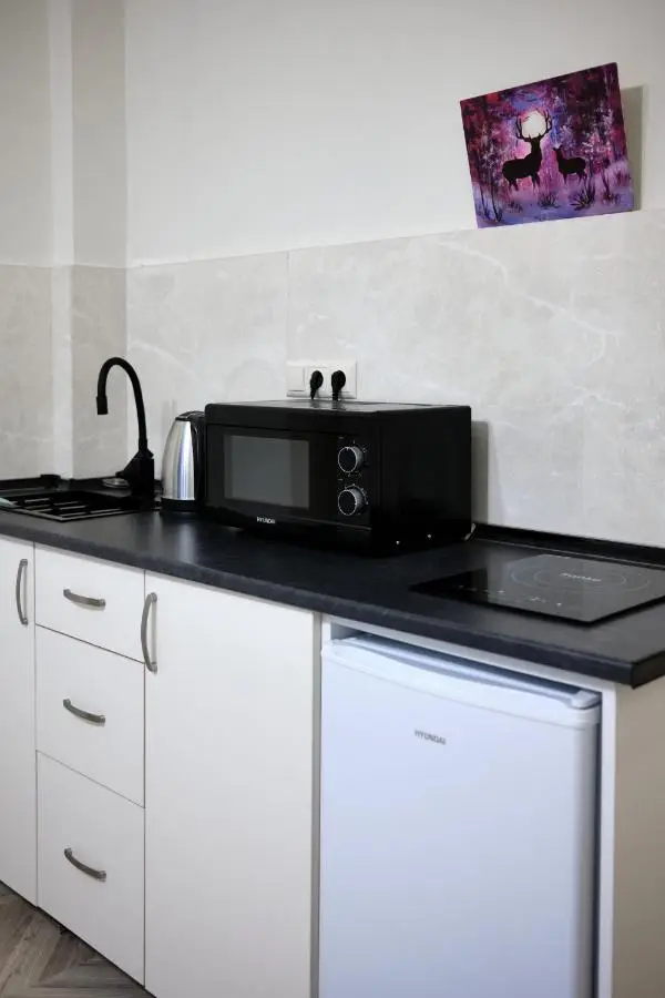 BROTHERS APARTMENTS WITH TERRACe IN OLD TBILISI