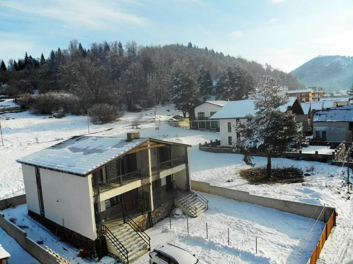 Twin Cottages in Bakuriani