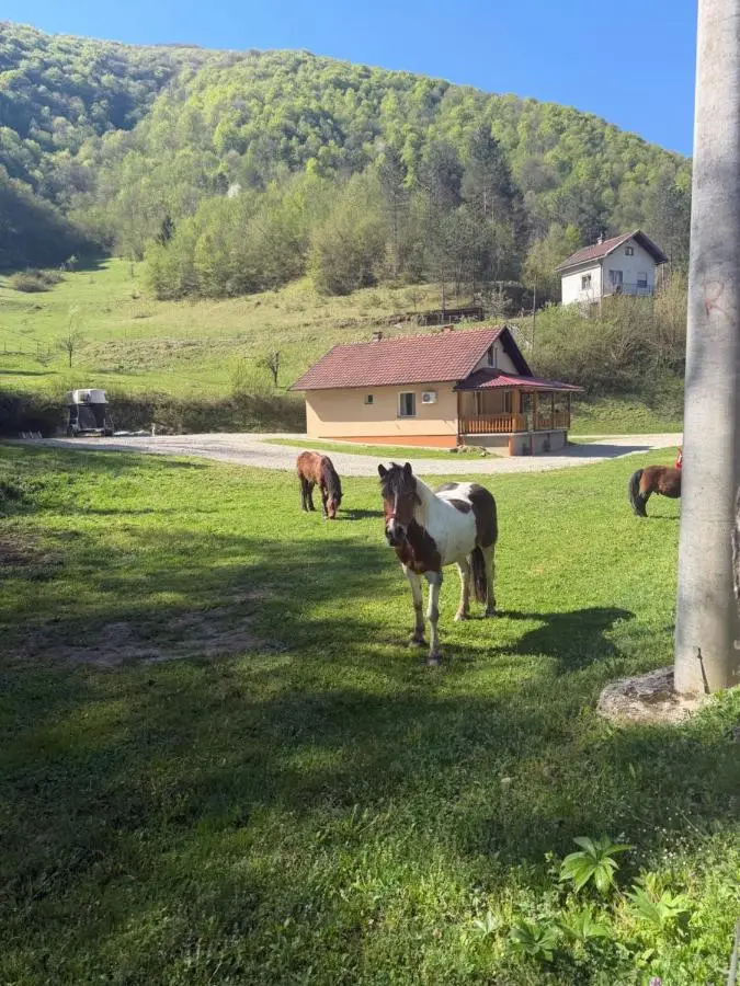 Ranch Jajce