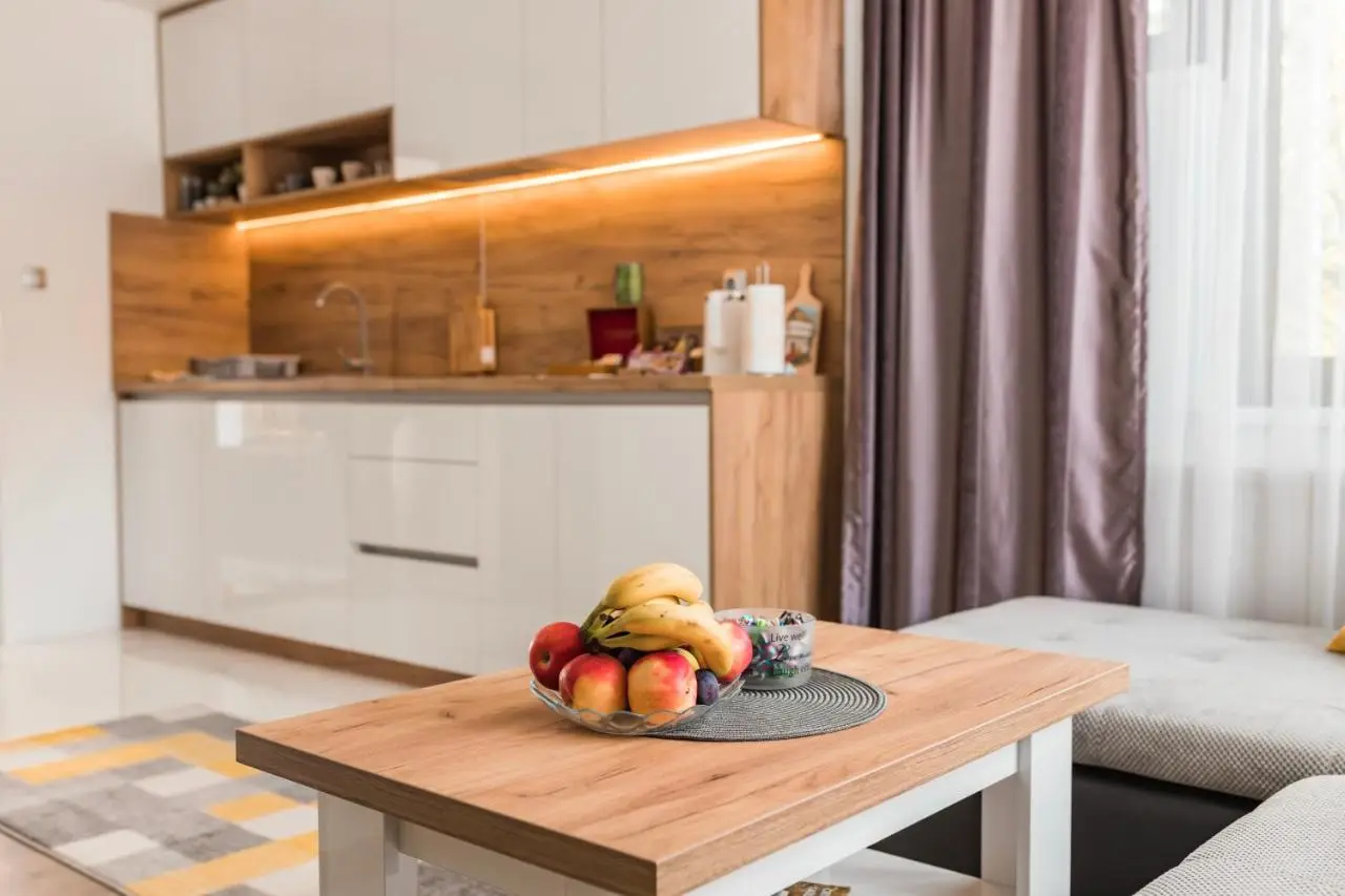 Downtown Apartment Travnik