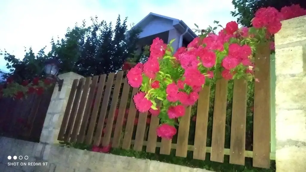 Quba Guest House