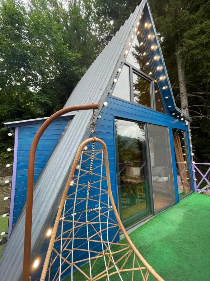 Forest House