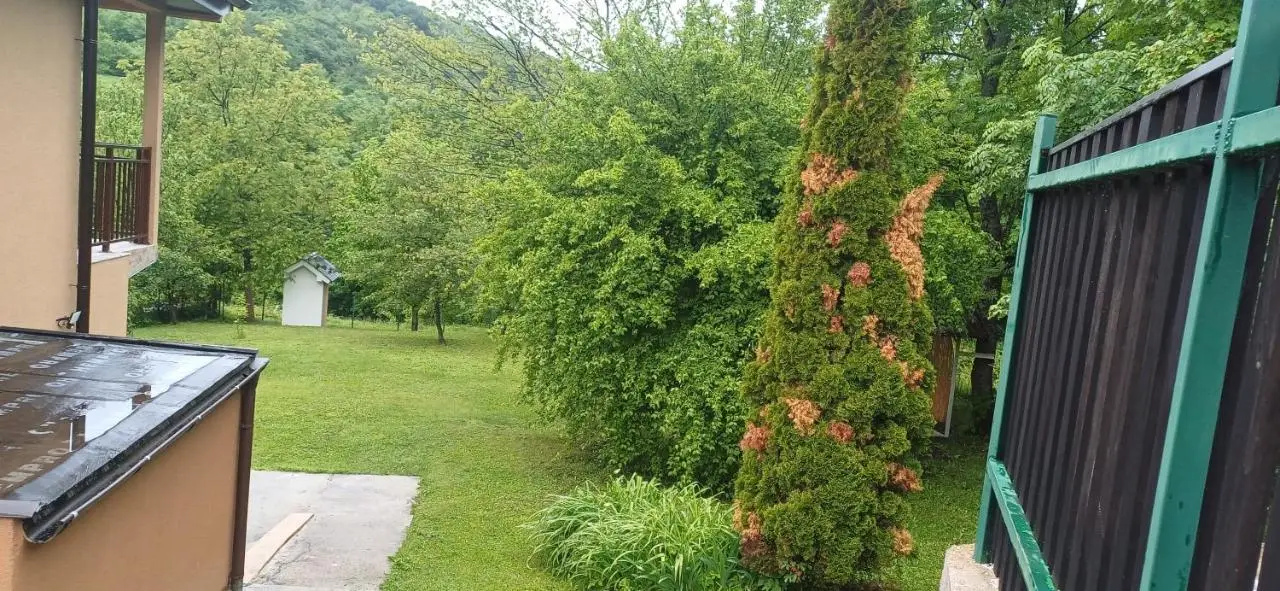 Mahala Rakovica