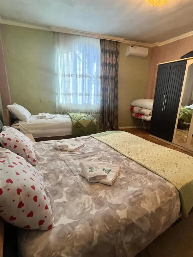 Sheki Modern Guest Home
