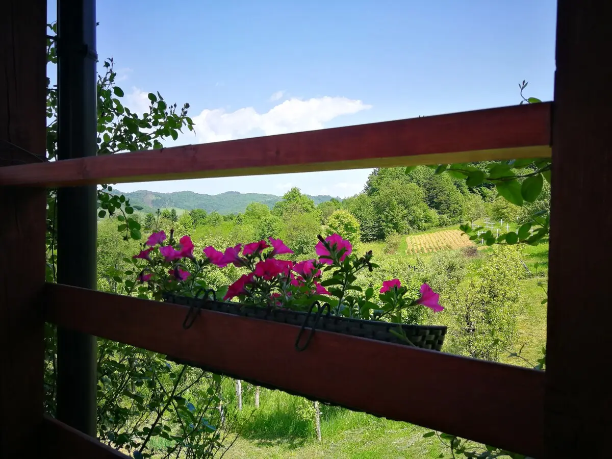 Green Idylle-PYramide View