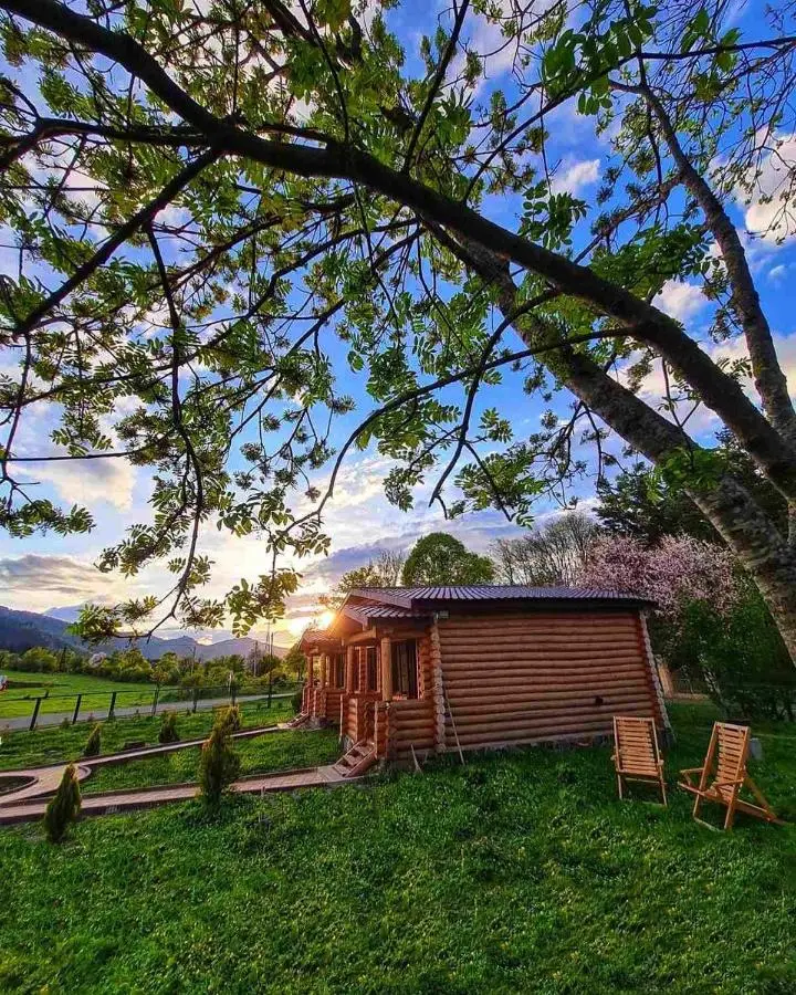Kingswood Cabins Borjomi