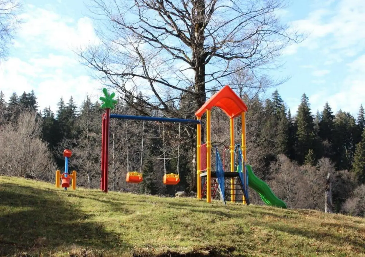 Bakuriani Valley 10