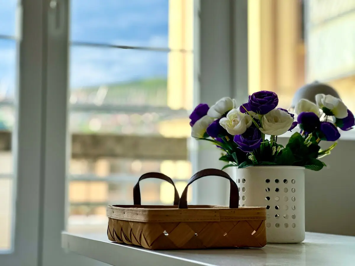Apartment Rima