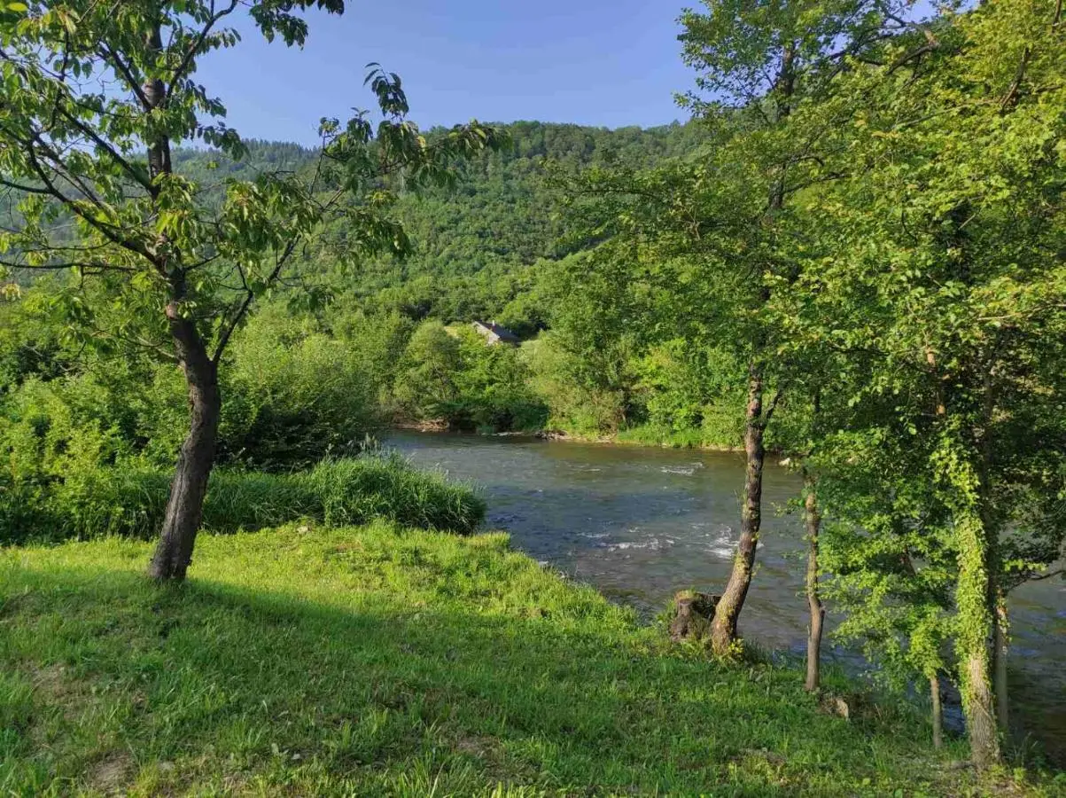 Apartman Džanan