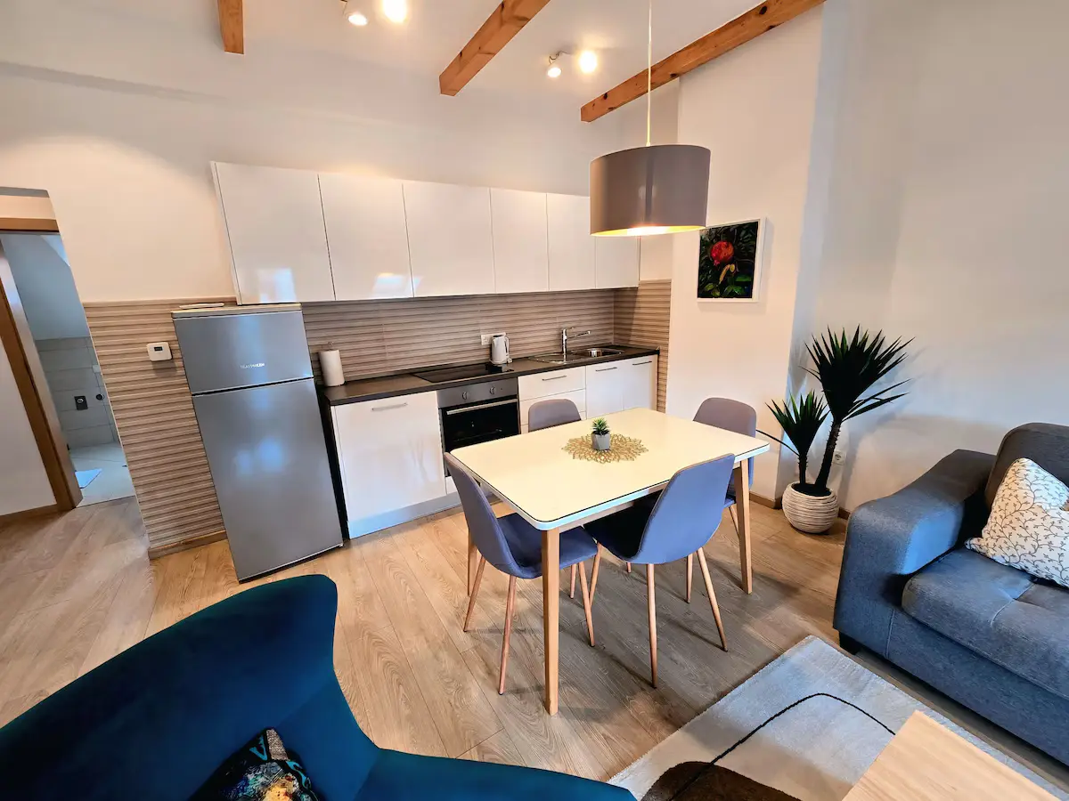 City Center Apartments #3 (Apt.with terrace)