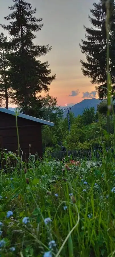 Danzot Tatil Köyü ve Restoran