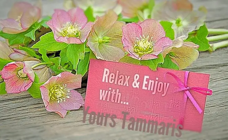 Tamaris Holiday Home