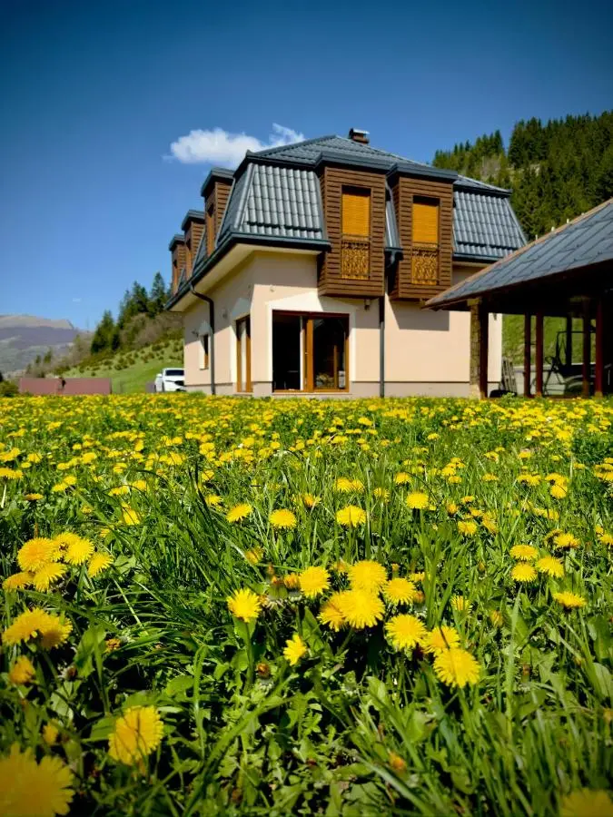 Luxury Villa Kadic