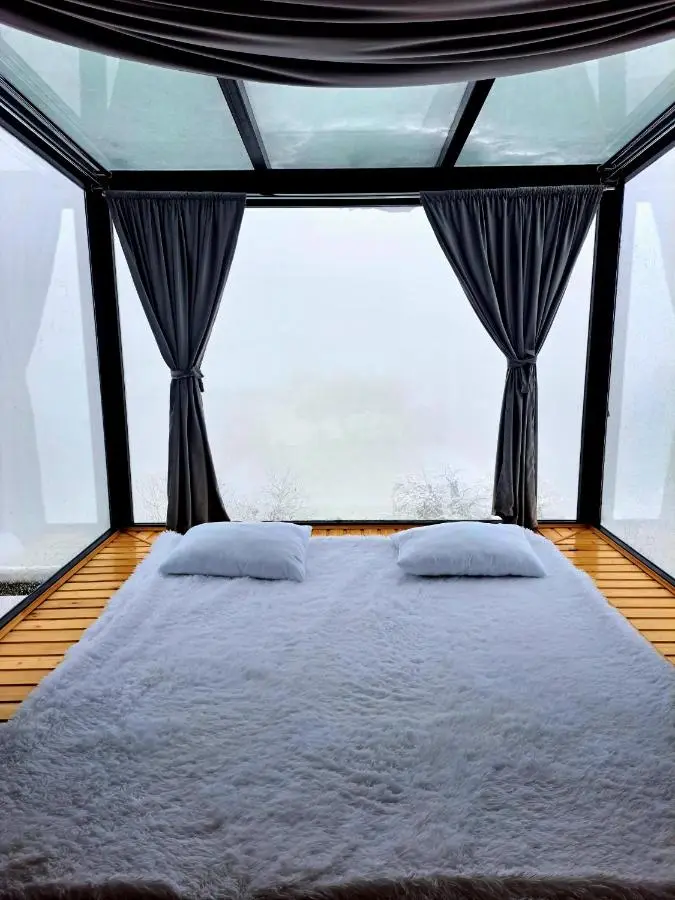 Glass House Merisi