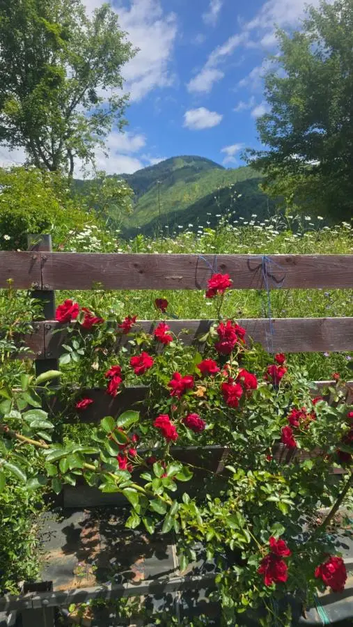 Weekend Borjomi