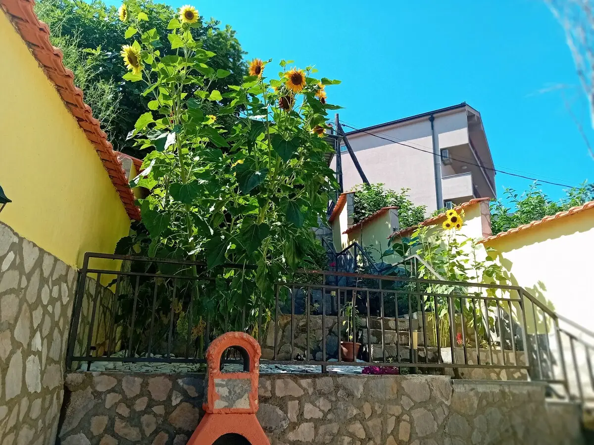 Mostar House